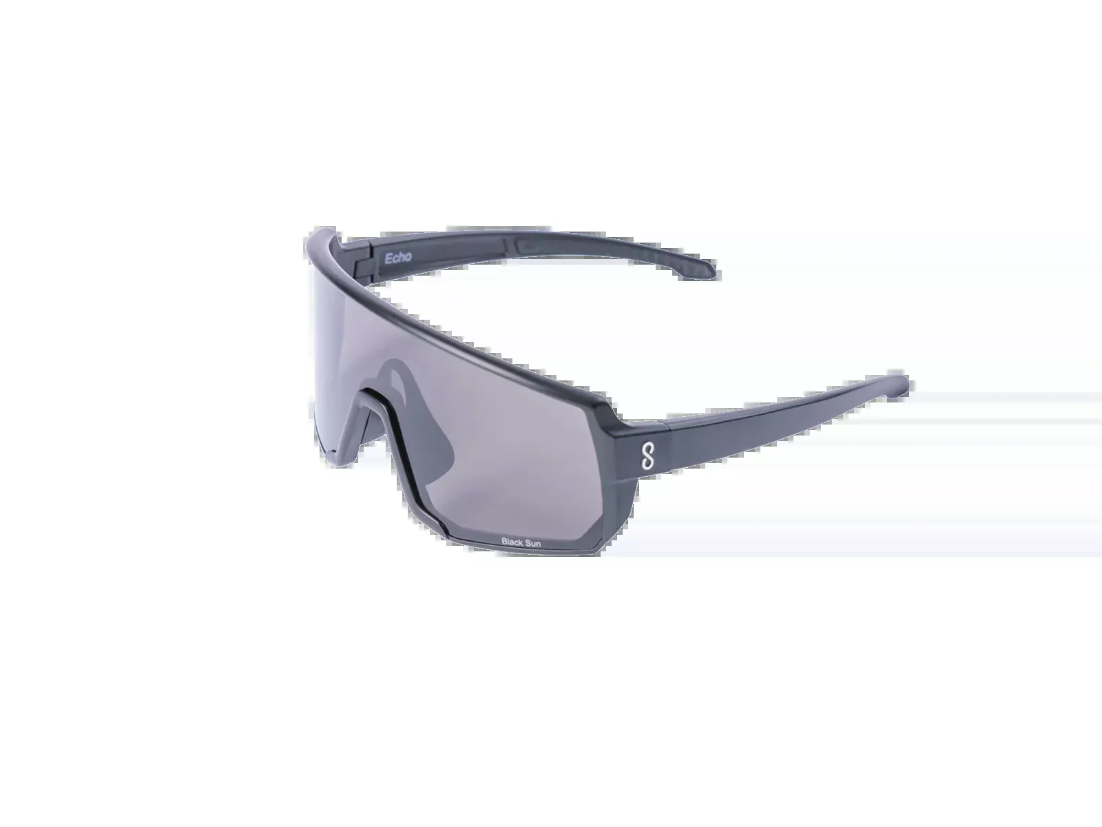 Echo Glasses