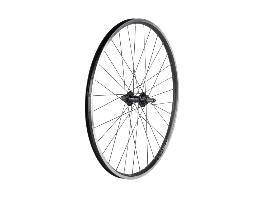 Electra2021 Townie 7D 26" Rear Wheel