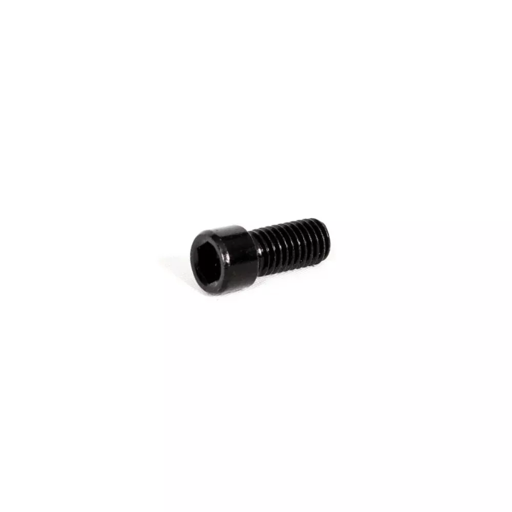 Ethic DTC Clamp Screw - Scooter Hardware