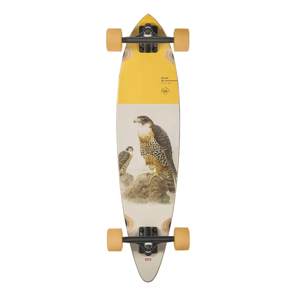 Globe Pintail Falcon 34in Longboard Complete