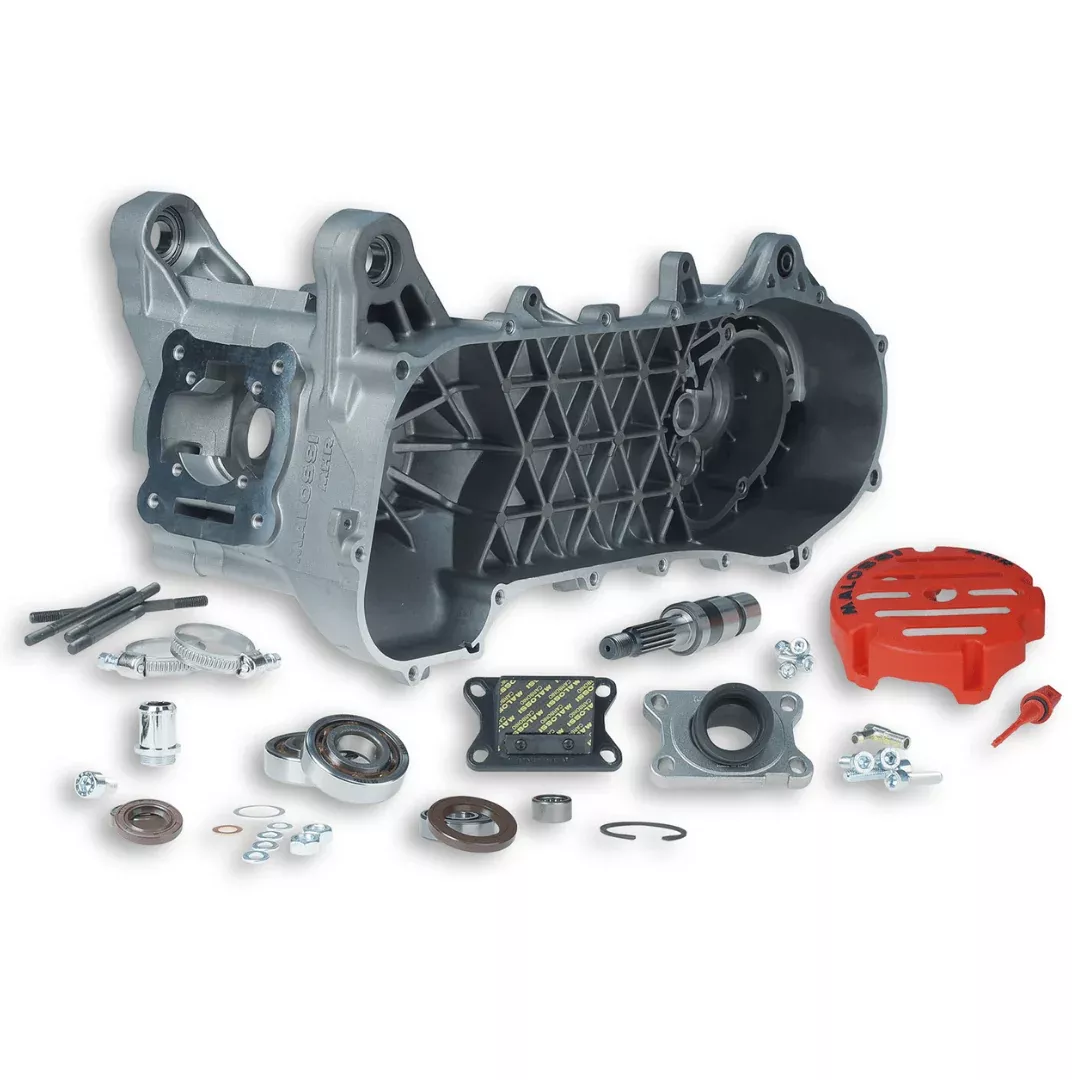 Malossi RC ONE Engine Case