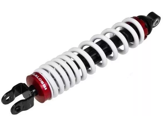 Malossi RS1Zuma shock