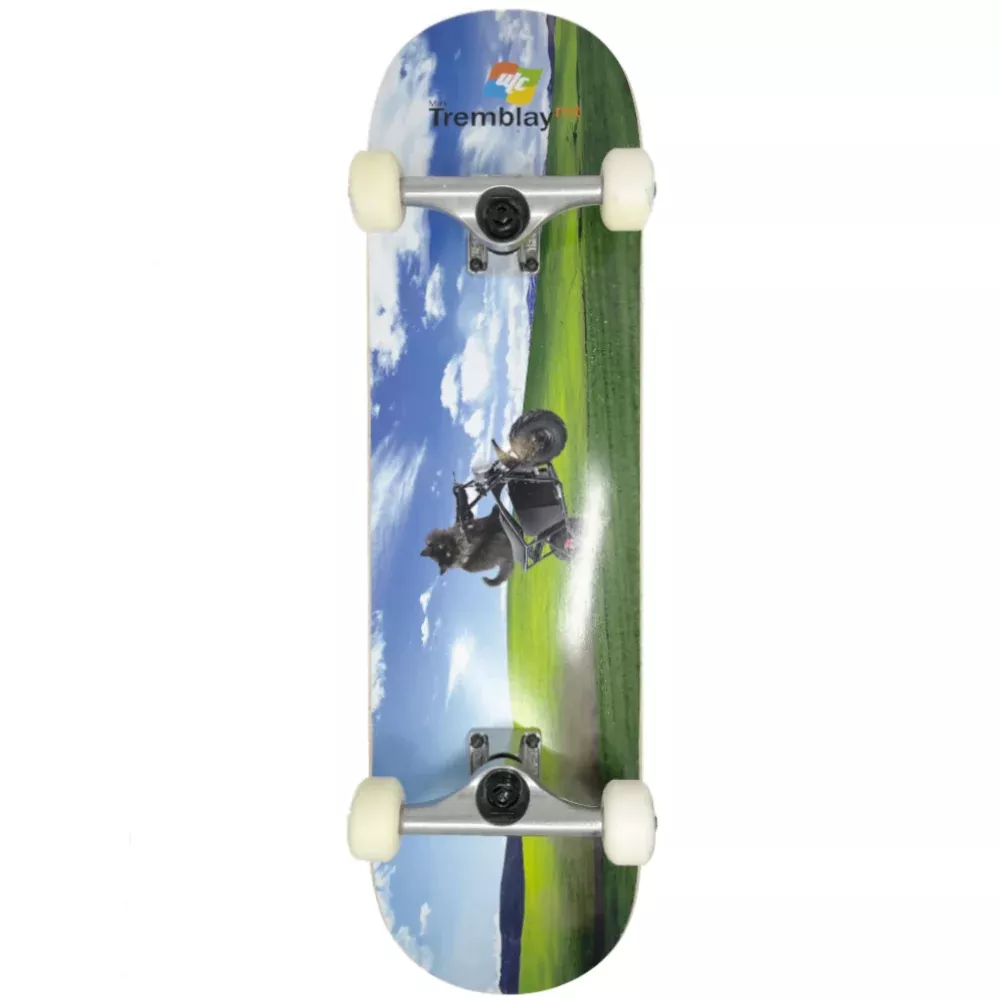 ULC Tremblay Biker 8.25 Custom Skateboard