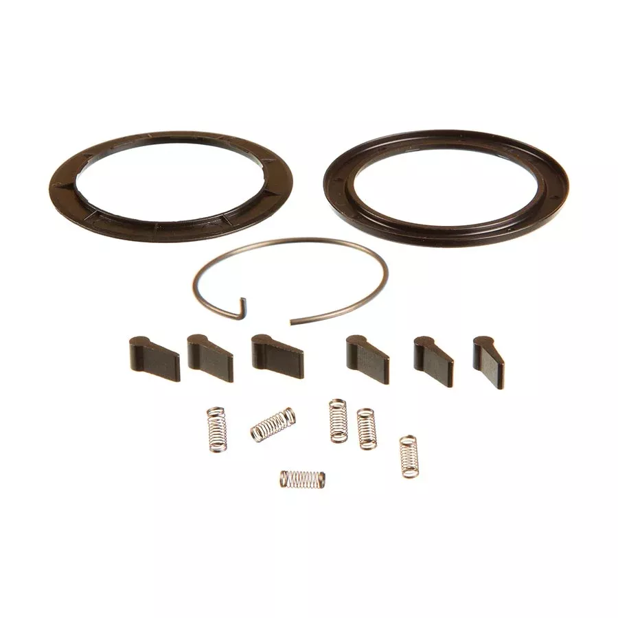 Zipp Spring and Pawl Set - ZR1